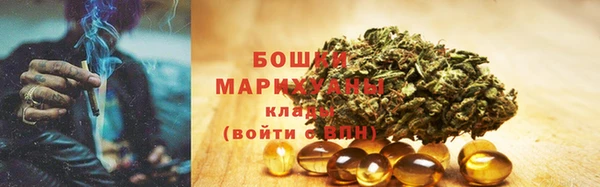 прущий лед Заводоуковск