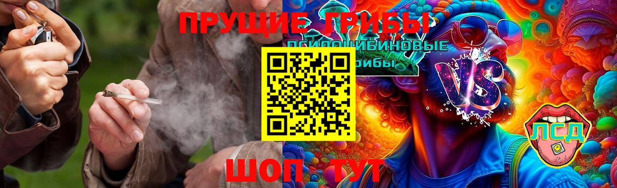 Галлюциногенные грибы Psilocybe  Вход с VPN  Спасск-Дальний 